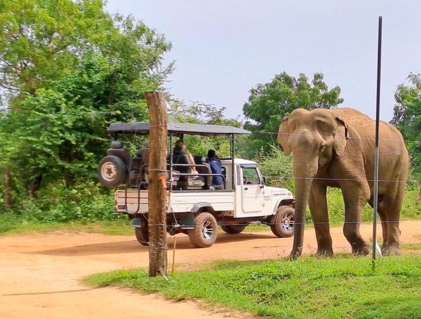 Wild Park Safari Home Stay Udawalawe Exterior foto