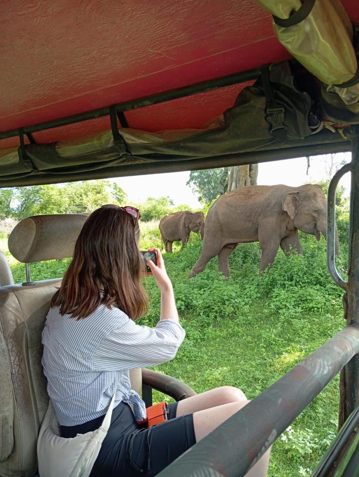 Wild Park Safari Home Stay Udawalawe Exterior foto